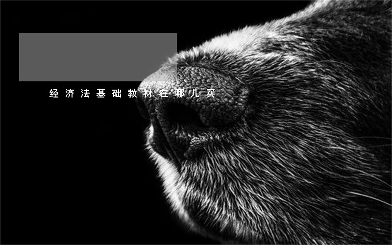 经济法基础教材在哪儿买 经济法基础教材在哪儿买