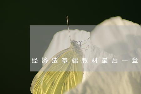 经济法基础教材最后一章