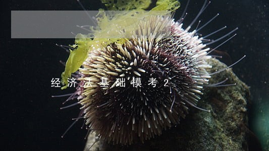 经济法基础模考2