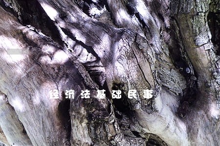 经济法基础民事