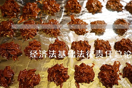 经济法基础法律责任总论 经济法基础法律责任总论