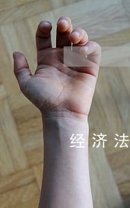 经济法基础法律责任试题