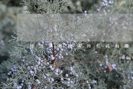 经济法基础法的形式有哪些 经济法基础法的形式有哪些