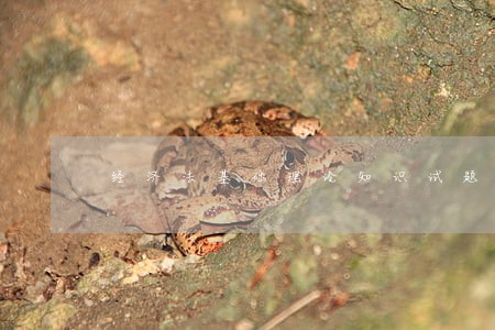 经济法基础理论知识试题