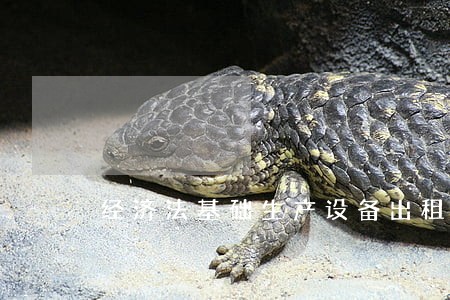 经济法基础生产设备出租收入 经济法基础生产设备出租收入