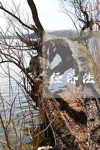 经济法基础的价格