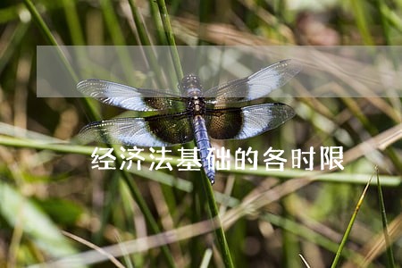 经济法基础的各时限 经济法基础的各时限