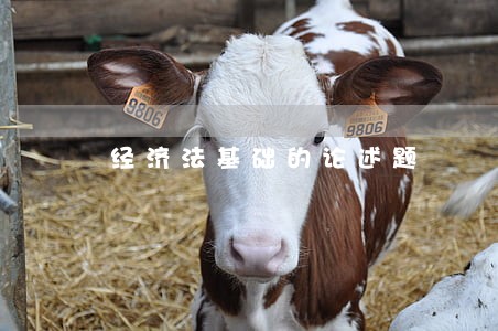 经济法基础的论述题 经济法基础的论述题