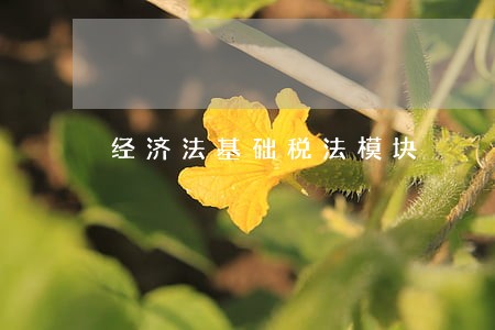 经济法基础税法模块 经济法基础税法模块