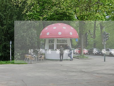 经济法基础税率表需要记吗 经济法基础税率表需要记吗