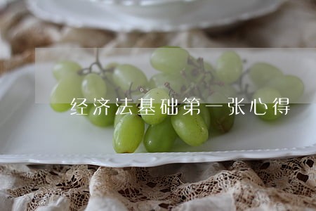 经济法基础第一张心得 经济法基础第一张心得
