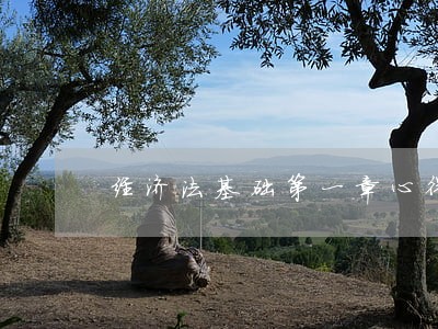 经济法基础第一章心得体会 经济法基础第一章心得体会