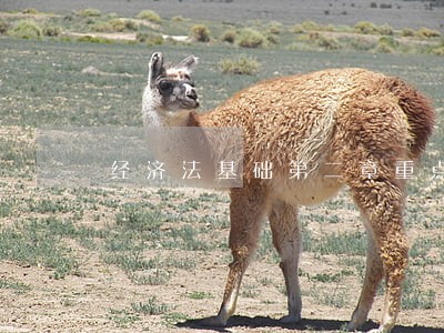 经济法基础第二章重点背诵考点 经济法基础第二章重点背诵考点