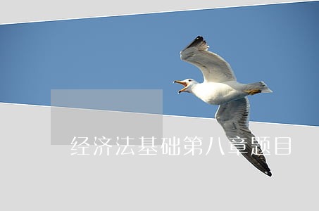 经济法基础第八章题目 经济法基础第八章题目