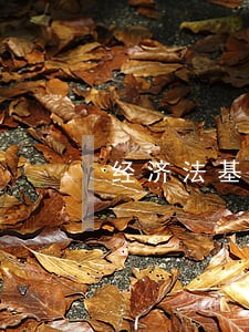 经济法基础经营所得修改部分 经济法基础经营所得修改部分
