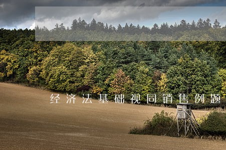 经济法基础视同销售例题 经济法基础视同销售例题