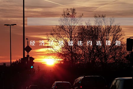 经济法基础违约选择题 经济法基础违约选择题