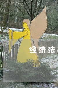经济法基础里的其他货币资金