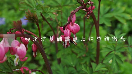 经济法基础重点归纳总结微盘 经济法基础重点归纳总结微盘