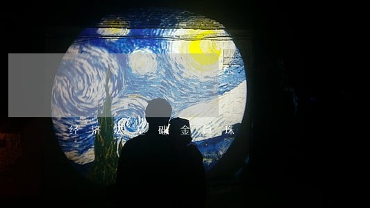 经济法基础金算珠 经济法基础金算珠