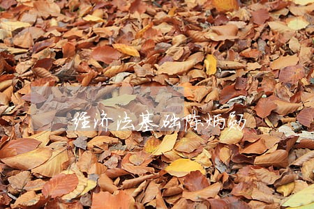 经济法基础陈炳勋 经济法基础陈炳勋