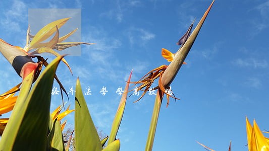 经济法学学高数吗 经济法学学高数吗
