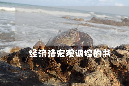 经济法宏观调控的书 经济法宏观调控的书