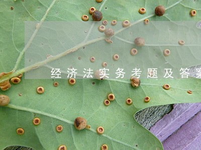 经济法实务考题及答案 经济法实务考题及答案