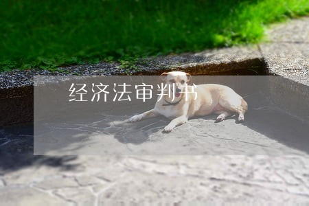 经济法审判书 经济法审判书