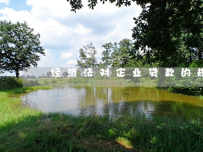 经济法对企业贷款的规定
