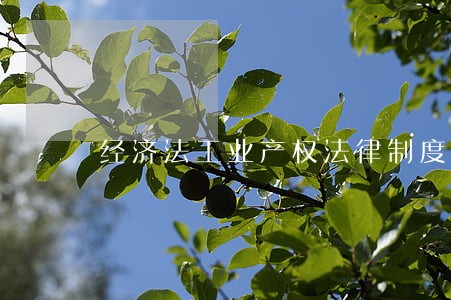 经济法工业产权法律制度 经济法工业产权法律制度