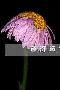 经济法律关系主体合伙企业 经济法律关系主体合伙企业