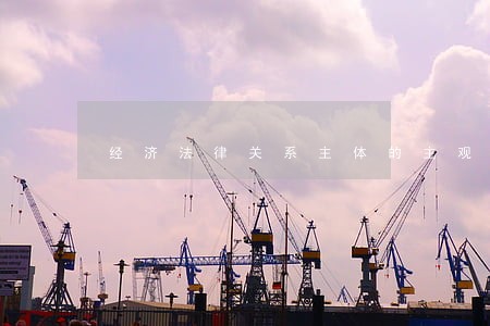 经济法律关系主体的主观题 经济法律关系主体的主观题