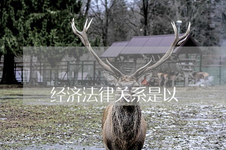 经济法律关系是以 经济法律关系是以