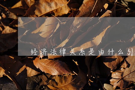 经济法律关系是由什么引起 经济法律关系是由什么引起
