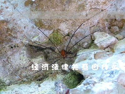 经济法律关系由什么组成