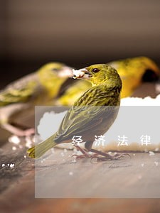 经济法律关系的三要素包括
