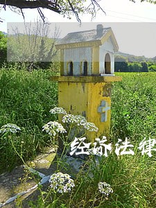 经济法律咨询哪家好 经济法律咨询哪家好