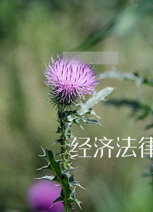 经济法律纠纷法律咨询 经济法律纠纷法律咨询