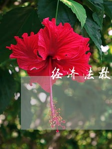 经济法教程浙江大学出版课后答案 经济法教程浙江大学出版课后答案