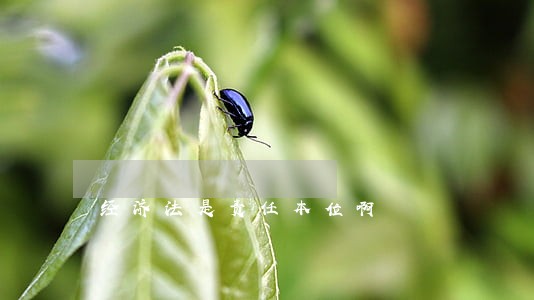 经济法是责任本位啊 经济法是责任本位啊
