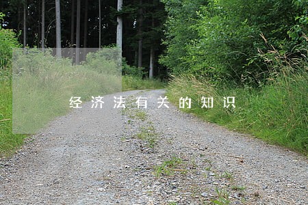 经济法有关的知识 经济法有关的知识
