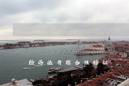 经济法有综合性特征