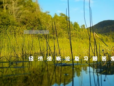 经济法概论复习题答案 经济法概论复习题答案
