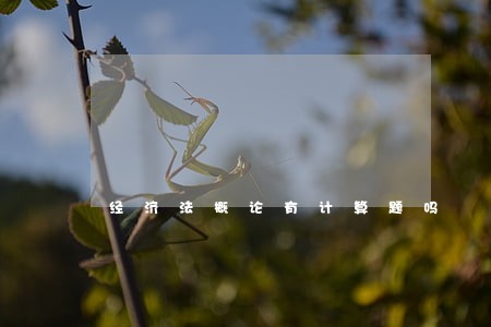 经济法概论有计算题吗