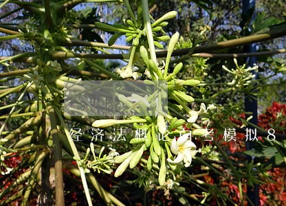 经济法概论自考模拟8