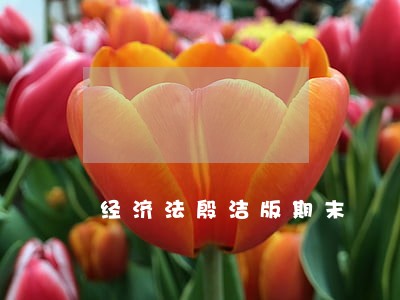 经济法殷洁版期末 经济法殷洁版期末