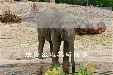 经济法比较好的书 经济法比较好的书