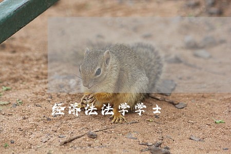 经济法法学学士 经济法法学学士