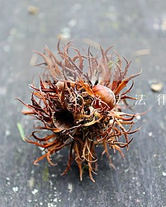 经济法法律义务 经济法法律义务